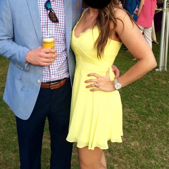 BCBGMaxazria Katalina Chiffon and Lace Dress - Picture 4 of 11